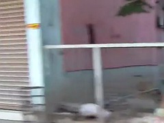 Amatéri, Ázijskej, Hardcore, Teenka, Thajskej, Kozičky