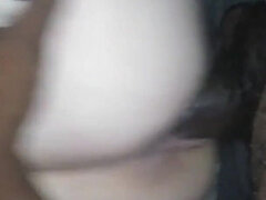 Amatør, Lubben, Hjemmelaget, Raseblandet, Truser