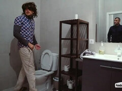 Tekintélyes didik, Gesztenyebarna, Hd