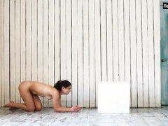 18, 흑갈색 머리, 대학교, 페티쉬, Hd, 보지, 청소년, 젖가슴