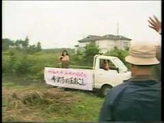 Aziatisch, Japaans