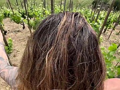 Wendy gets a hard fuck in the vineyard