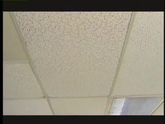 사정 샷, 얼굴에, 하드코어, 비서, 빨아들이는, 청소년, 쓰리섬, 처녀