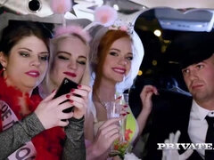 Μεγάλος κώλος, Μελαχροινή, Βυζαρού, Ομάδα, Μαλλιαρός, Όργιο, Κοκκινομάλα, Ξυρισμένη