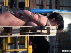 Leyla hogtied tapegagged forklifted