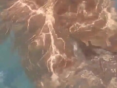 Большая жопа, Блондинки, Минет, Фут фетиш, Милф, Бассейн, От первого лица, Жена