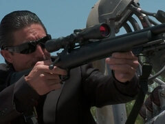 Tekintélyes didik, Szőke, Cumizás, Gesztenyebarna, Kőkemény, Fehérnemű, Orgia, Buli