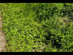 18, 아마추어, 큰 엉덩이, 야외의, 혼자, 청소년, 와이프