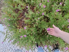 Grote kont, Auto, Fetisj, Hakken, Latijnse vrouw, Gezichtspunt