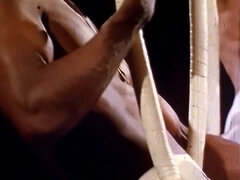 Krémes süti, Ondó fröcskölés, Fajok közötti, Orgia, Régebbi évjáratú pornó