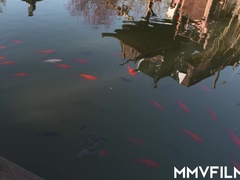 Nemke, Dekle drka tiča, Hardcore, Najstnice