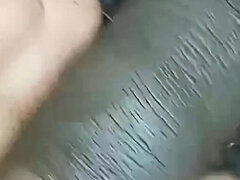 Amatéri, Vlasatej, Indické