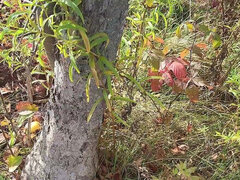 Kivillanó idomok, Egyedül