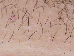 Anale, Arabe, Culo, Coppia, Fatto in casa, Casalinga, Figa, Moglie