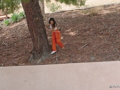 Asiático, Culo, Mamada, Loco, Polla, Sexo duro, Orgasmo, Mojado