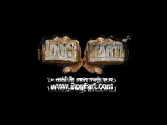 Kuřba, Prsnatá, Striekanie semena, Medzirasové