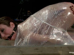 Anal, Bdsm, Ansikt sittende, Dominerende kvinne, Fingring, Skambelagt, Lesbisk, Slave