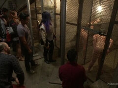 Bondage sadomaso, Bondage, Umiliazione, Orgia, Punizione, Grezzo, Schiavo, Guardone