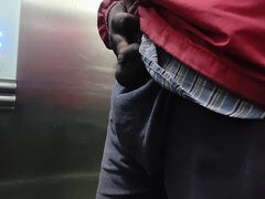 Amatőr, Fekete, Kövér, Indiai, Maszti, Nyilvános, Egyedül