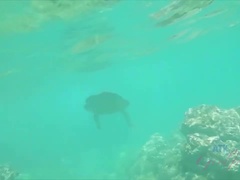 아마추어, 해변, 흑갈색 머리, Hd, 야외의, 셀카, 젖가슴