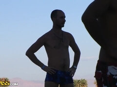 Tekintélyes didik, Cumizás, Gesztenyebarna, Kebles, Klasszikus, Természetes, Nuni, Begyek