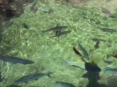 Amatorka, Plaża, Blondynka, Orgazm, Drobna, Publiczny, Chudy, Squirting