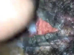 Amatőr, Gesztenyebarna, Krémes süti, Ondó fröcskölés, Szőrös, Házi készítésű, Nézőpont, Nuni