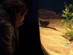 Enthousiasteling, Strand, Vriendin, Buiten, Klein, Openbaar, Geschoren, Tieten likken