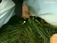 Aziatisch, Fetisj, Japaans