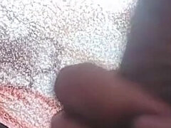 Veľké péro, Indické