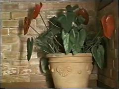 Любители, Анальный секс, Азиатки, Толстушки, Большие сиськи, Минет, Сборник, Сиськи