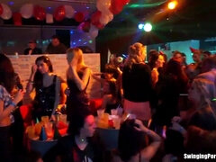 Club, Gruppo, Hd, Lesbica, Masturbazione, Festa, Pubblico, Figlio
