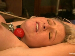 Fresh Meat: Devon Taylor