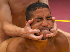 Ομοφυλόφιλος