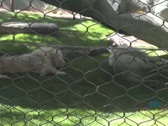 Amador amadora, Banheiro, Bundão, Botas, Morena, Namorada, Pontos de vista, Xoxota