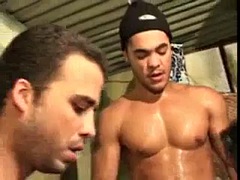 Amaterji, Analno, Babe, Blondinka, Rjavolaska, Nizozemski