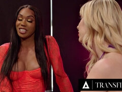 큰 가슴, 금발의, 오랄섹스, 다른 인종간의, 수음, 성전환자