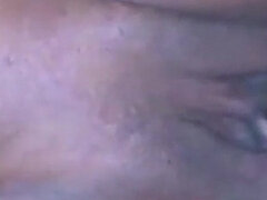 Amatör, Stor stjärt, Svart, Par