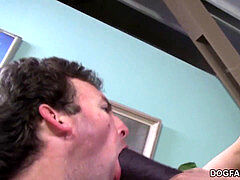 Gehörnter ehemann, Erniedrigung