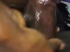 Afrikaner, Amatør, Pik sutte, Trusser, Fisse, Ridning, Bryster