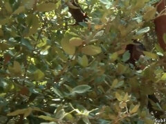 Bisarr, Kukk suging, Fetisj, Hardcore, Utendørs, Røff, Slave, Bundet