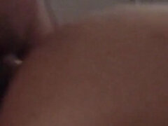 More Cushion for the Pushing - Sg Malay Doggy