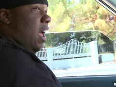 The Switch Hit 1 - Milfs Like It Black