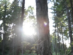 Al aire libre, Solo