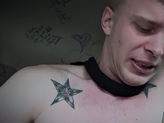 Amatör, Anal, Avsugning, Homosexuell, Tatuering