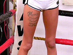 Iso perse, Iso kulli, Kokoelma, Tissipano