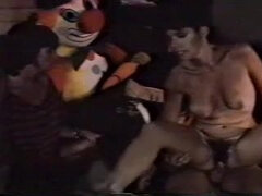 Veľký zadok, Veľké kozy, Dospelé, Učiteľ, Švédska rojka, Zastarané