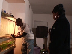 Hatalmas hátsó, Monumentális dákó, Gesztenyebarna, Pénisz, Ébenfekete, Arcra élvezés, Kőkemény, Hd