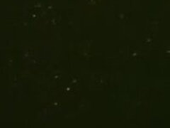 Оргии, Молоденькие, Втроем, Винтаж