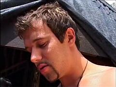 Pik sutte, Sædskud, Mor jeg gerne vil kneppe